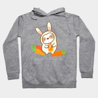 Cute Carrot Juice Sloth Hoodie